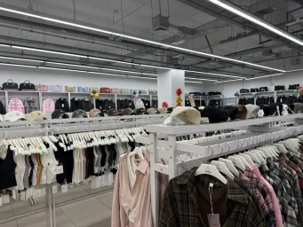 Огненная лиса 0