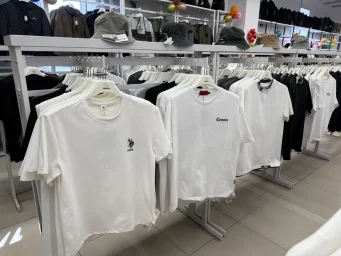 Огненная лиса 2